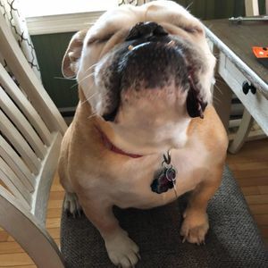 Meet your Posher, Jodi